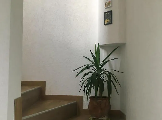 23 公寓 新帕扎尔