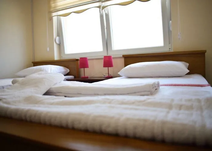 23 公寓 新帕扎尔