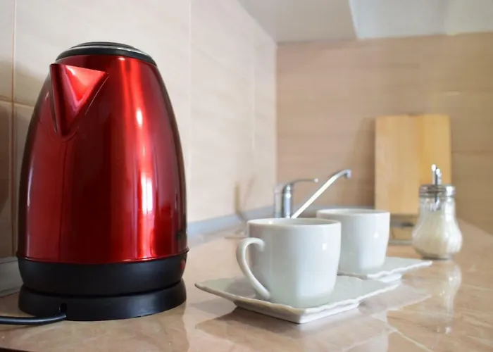 23 公寓 新帕扎尔